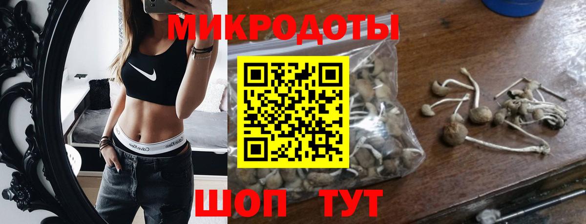 Псилоцибиновые грибы прущие грибы Бугульма