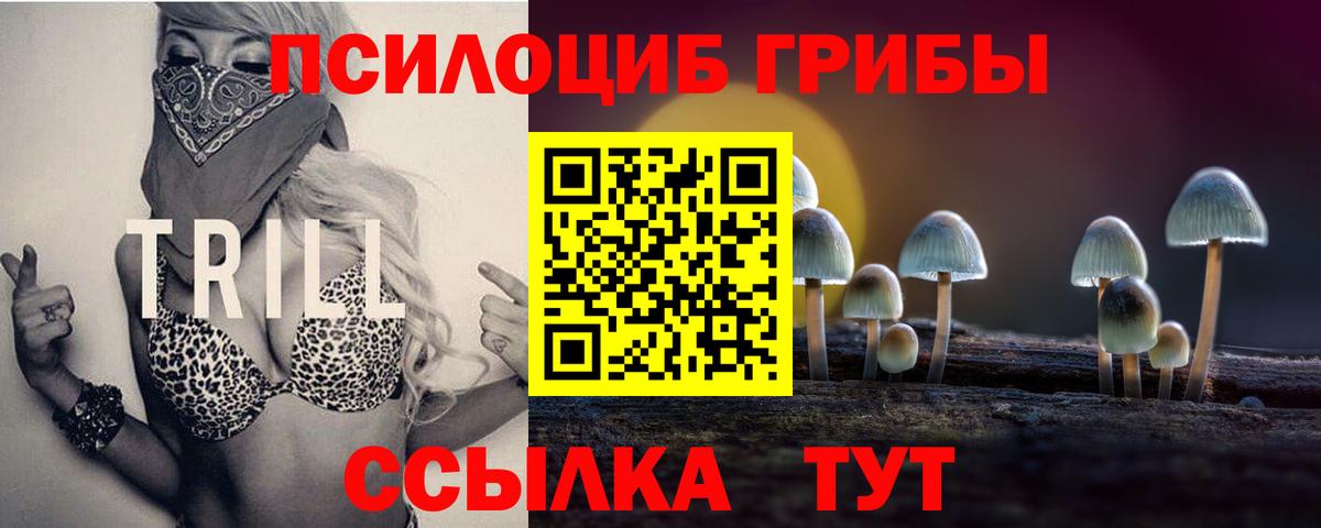 Бугульма  Галлюциногенные грибы Psilocybine cubensis  Вход с VPN  Галлюциногенные грибы мухоморы 